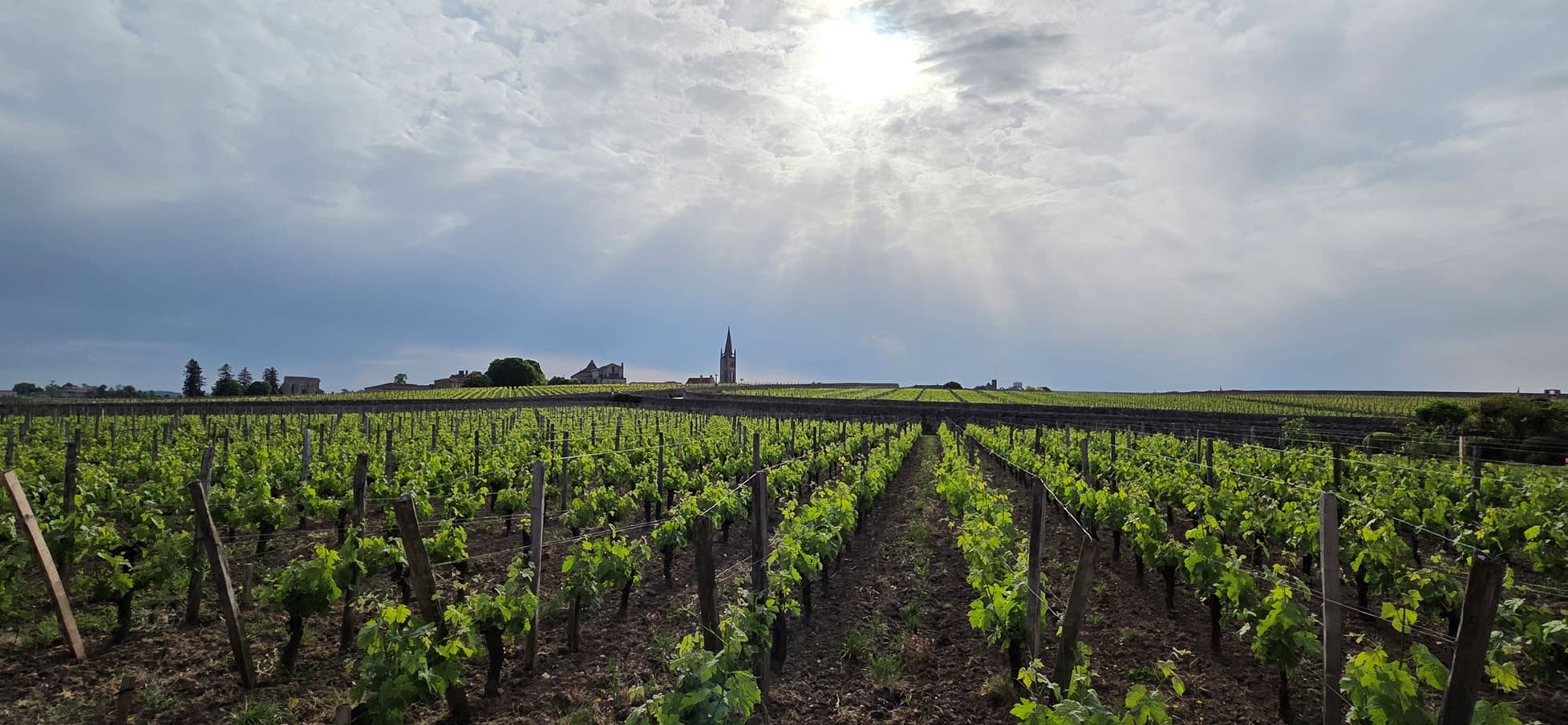 Bordeaux En Primeur 2025: A Vintage of Precision, Scarcity and Opportunity