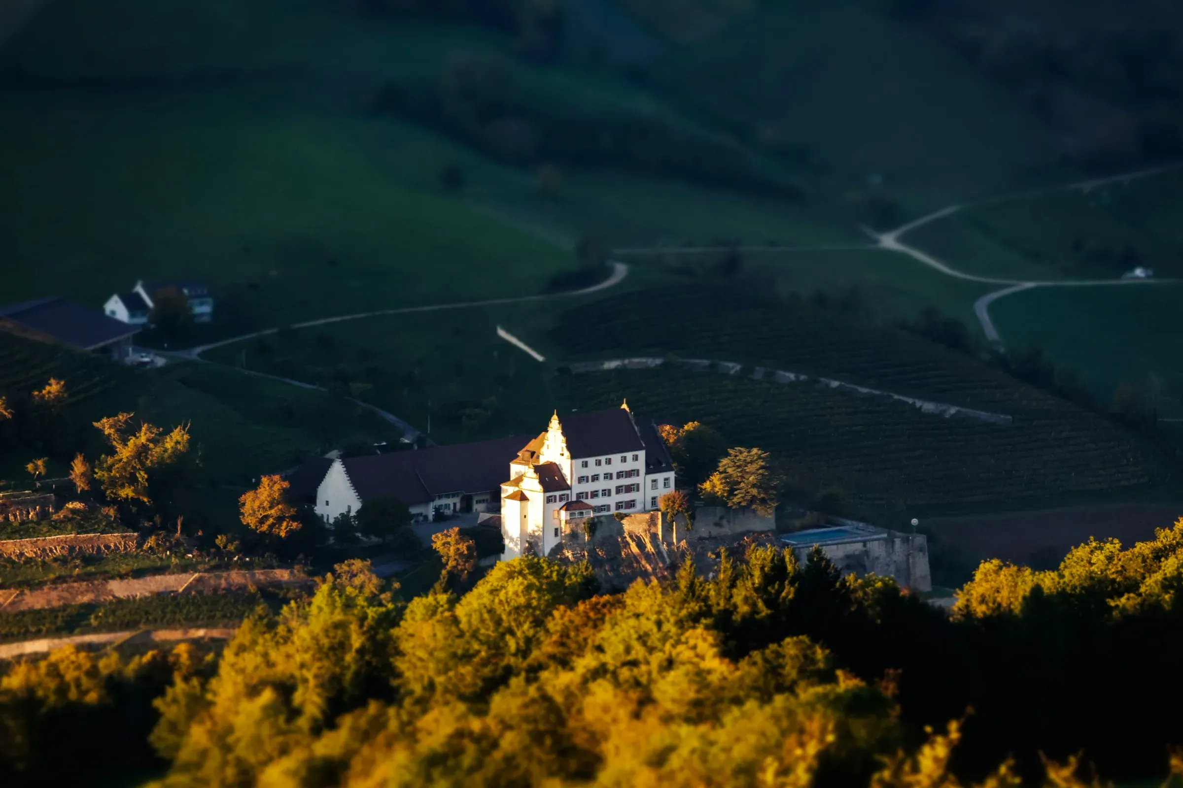 Jura & Savoie – France’s Alpine Wines